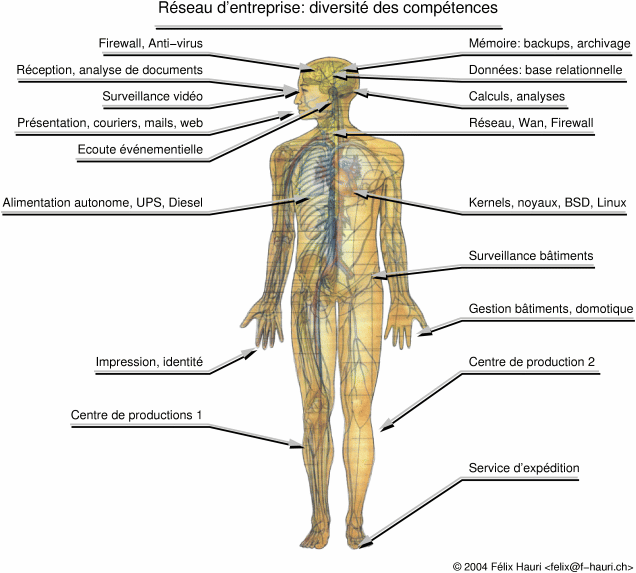 corps humain